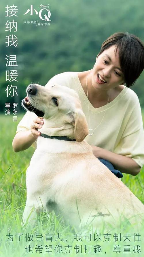 台湾身份证号码一共几个数字